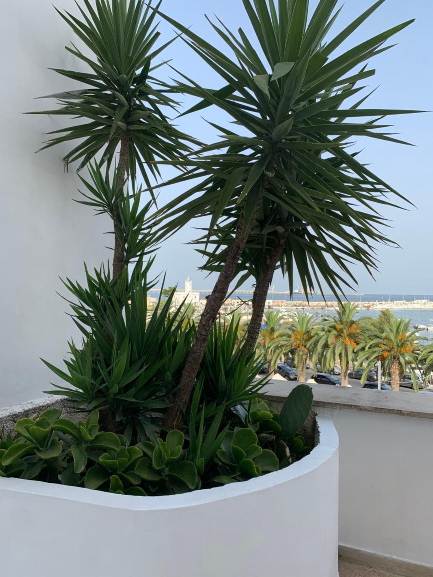 Terrazza Diomede- Manfredi Homes & Villas Manfredonia Zewnętrze zdjęcie